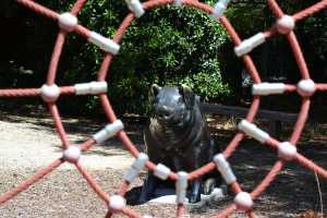 carrick hill 2014 (18)